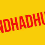 『盲目のメロディ』感想・評価|インド発、超クレイジーなサスペンスコメディの秀作！絶対に動揺してはいけない盲目のピアニスト